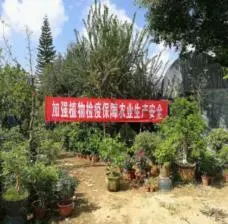 如何辦理農(nóng)業(yè)植物及其產(chǎn)品調(diào)運(yùn)植物檢疫證書
