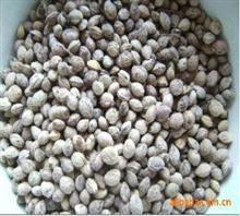 絳縣眾信苗木專業(yè)合作社 優(yōu)質(zhì)新櫻桃種子供應(yīng)與價(jià)格解析