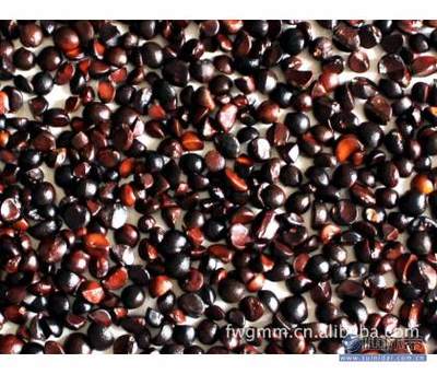 黃岡市黃州區佳偉苗木園藝場 優質油茶籽油茶嫁接苗與果樹種苗供應商