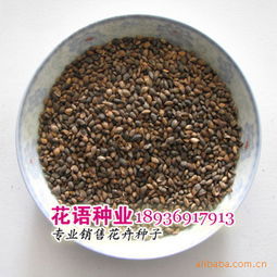 江蘇沭陽縣花語花卉園藝場產(chǎn)品供應(yīng) 果樹苗子、草坪種子與綠化苗木精選推薦