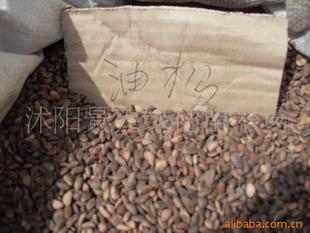 一站式花木種子與苗木采購(gòu)指南 聚焦農(nóng)苗網(wǎng)與供應(yīng)商劉仰兵